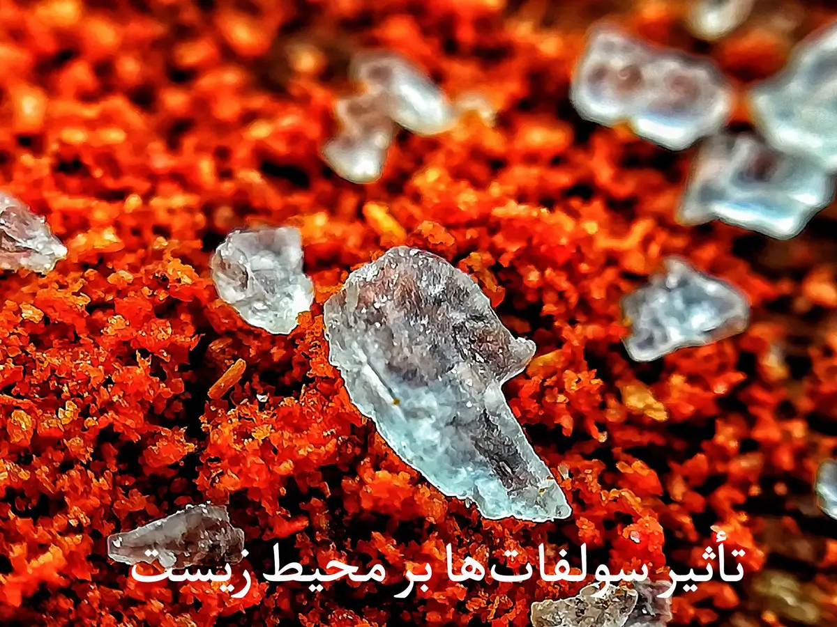 مزایای شامپوهای فری سولفات: چرا باید از آن‌ها استفاده کنیم؟