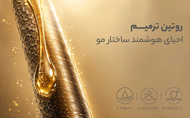 خانه 25 Feriia ir ترمیم copy 1